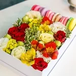 Cele mai frumoase flori de primăvară,  livrate oriunde în Moldova