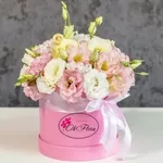 LivrareFlori.md - flori premium pentru fiecare ocazie specială