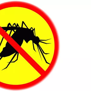 Lampa anti-insecte urgent! Электронная лампа от комаров, мошек, мух и т.