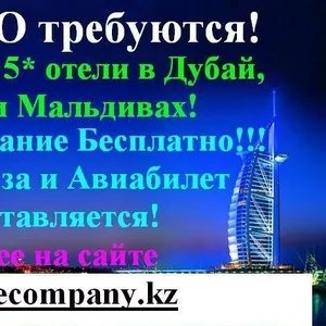 Работа за границей! ОАЭ, Катар, Оман, Мальдивы, США!