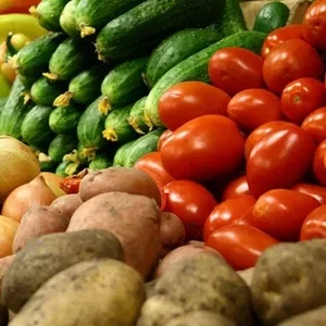 Свежие овощи из РБ оптом