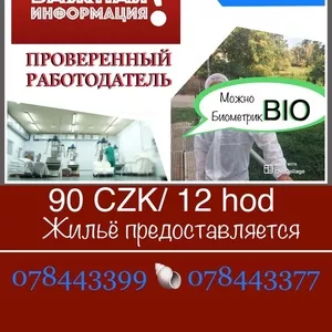 Чехия! сахарный завод! срочно! био! зп 800-1000€