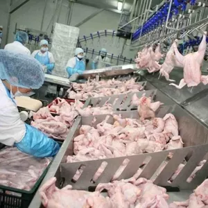 Uzina de prelucrare carne și produse semifabricate 