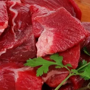 Uzina de prelucrare carne,  pește și produse semifabricate. 