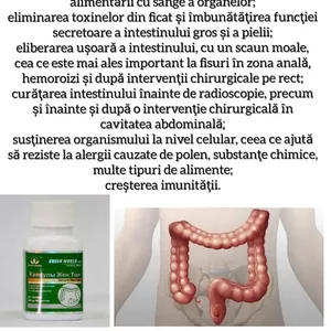 Capsule Je Ton Detox Colon