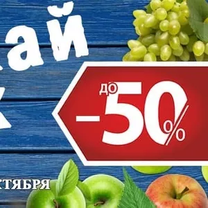 ВНИМАНИЕ! АКЦИЯ - Осенний Урожай Скидок - Скидки до -50%. 