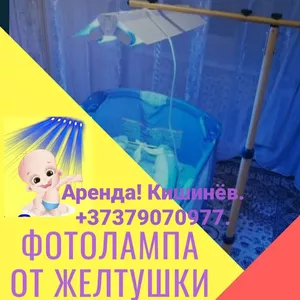 Lampă pentru scăderea bilirubinei - лампа от желтухи / Tratament Icter Acasă 