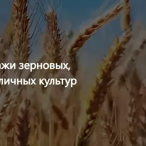 ООО Агропром - оптовая реализация продуктов питания в Молодове