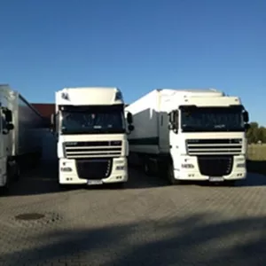 Европейские рейсы на холодильнике – стабильность и порядок