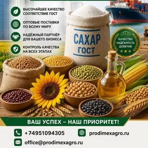 Сахар ГОСТ,  зерновые,  бобовые и масличные культуры оптом в Молдове