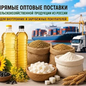 Сельхозпродукция оптом из России - масла,  шрот,  мука,  сахар в Молдове