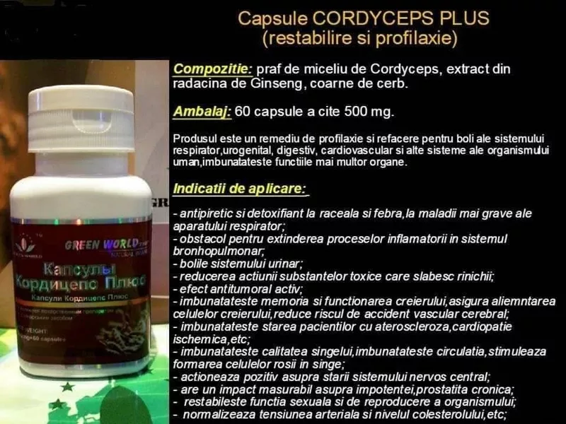Capsule Cordiceps Adulti