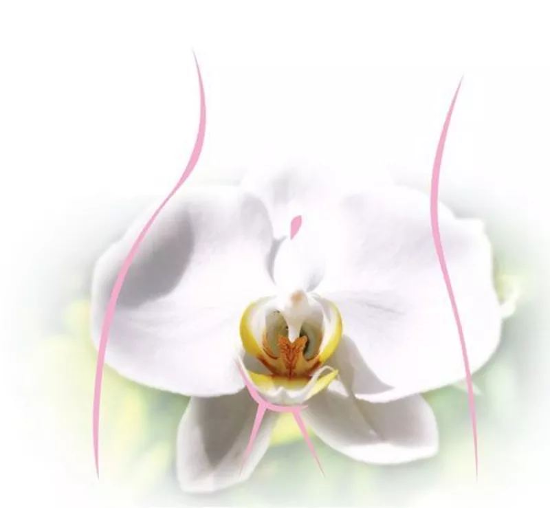 Chirurgie estetica intima: Laser plastia labiilor minore (labioplastia cu laser) in Chisinau,  Moldova! 3