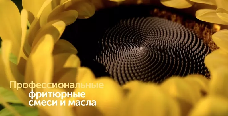 SolPro - промышленные жиры и маргарины в Молдове