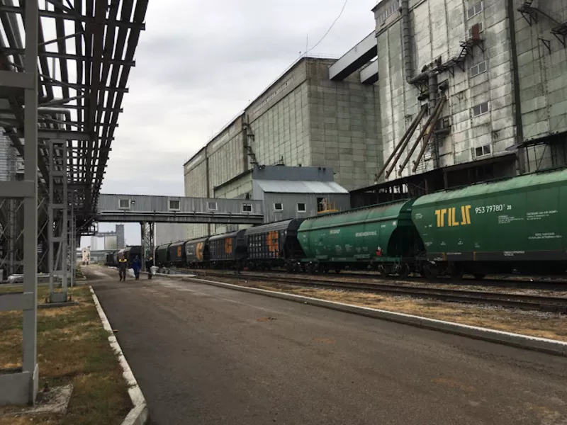 Высококачественное подсолнечное масло оптом от производителя 2