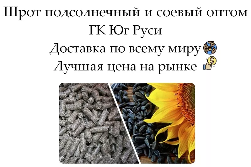 Шрот подсолнечный и соевый оптом в Молдове от ГК Юг Руси